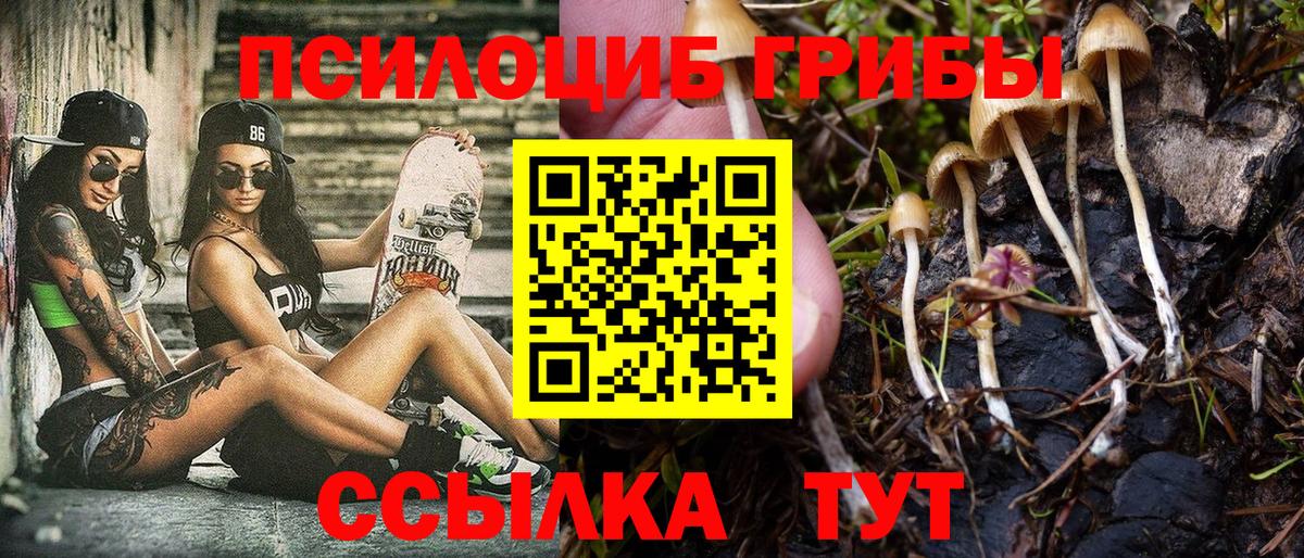 Галлюциногенные грибы ЛСД  Псилоцибиновые грибы Magic Shrooms  Ивантеевка  Вход с VPN 