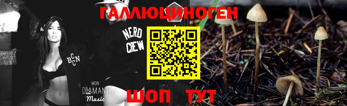 Галлюциногенные грибы Psilocybe Ивантеевка